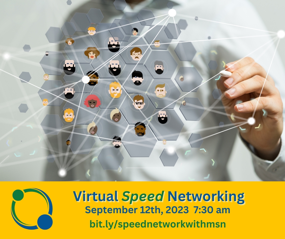 Virtual Speed Networking